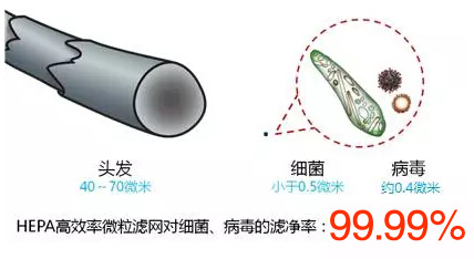 ��Ⱦ�：(x��)��